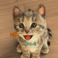 Little Kitten - My Favorite Cat на Андроид